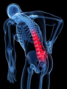 Skeleton with lower back pain highlighted