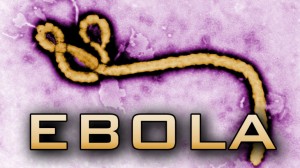 Image of Ebola virus