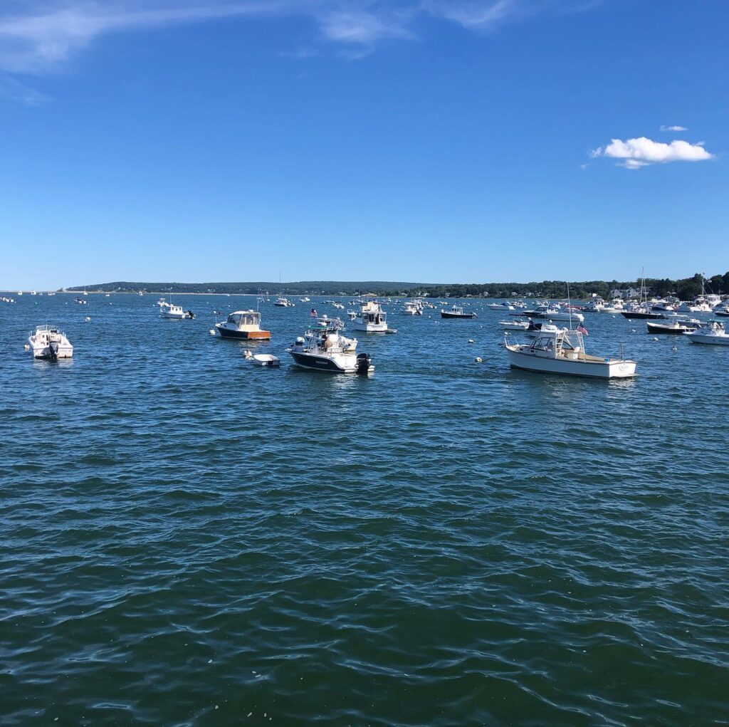 Photo of small pleasure boats bobbing in a harbor, with a treelined shore in the background, and a blue sky with wisps of white clouds above